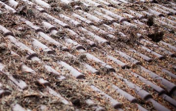 Maryburgh roof cleaning companies